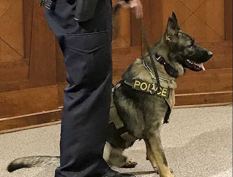Fayetteville welcomes Finn to the force