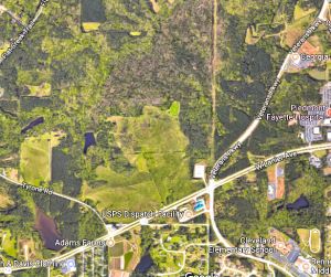 Fayette County Development Authority wants 267-a...