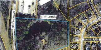 Outlined area is proposed Senoia Road rezoning. Graphic/Peachtree City.