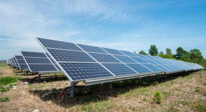 Solar panel array in field. Photo/Shutterstock.