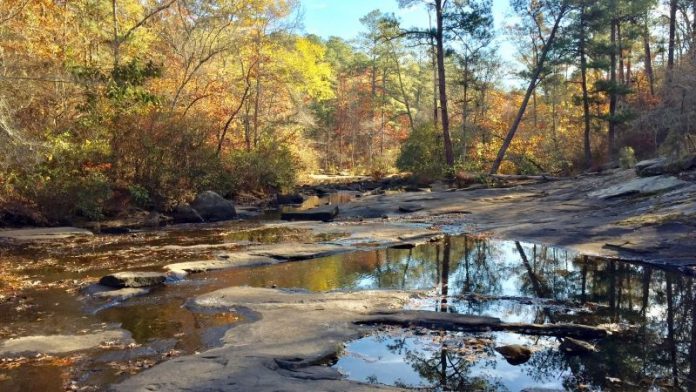 Line Creek Nature Area in Peachtree City. Photo/Southern Conservation Trust website.