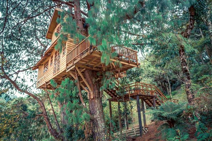 A Shutterstock photo shows a two-story treehouse, location not given.