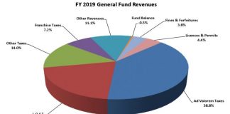 Graph of sources of Peachtree City revenues expected for Fiscal Year 2019. Source/Peachtree City.