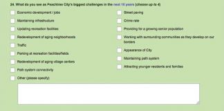 Screen grab of the current city survey from the city's website.