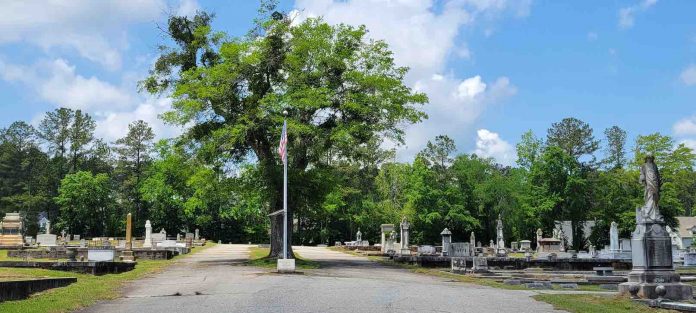 Flag at Senoia City Cemetery. Photo/Submitted.