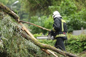 Storm fells tree onto Wynnmeade house, power kno...