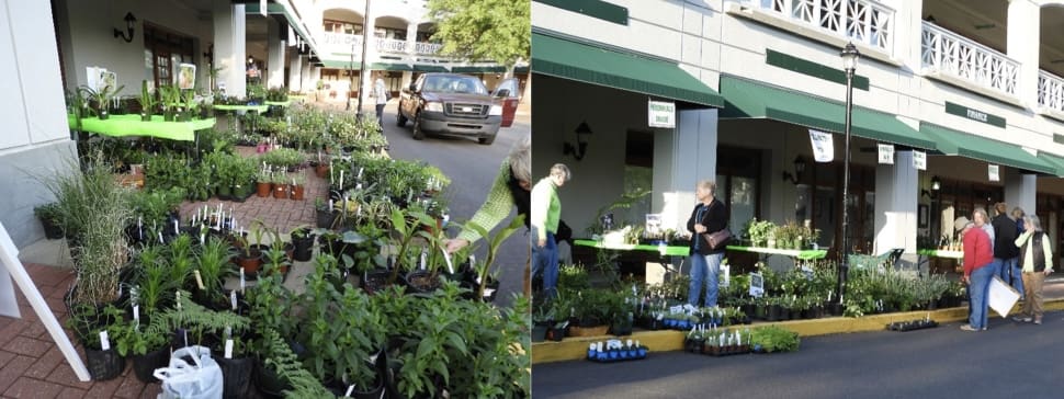 16th Annual Fayette Master Gardener Association ...