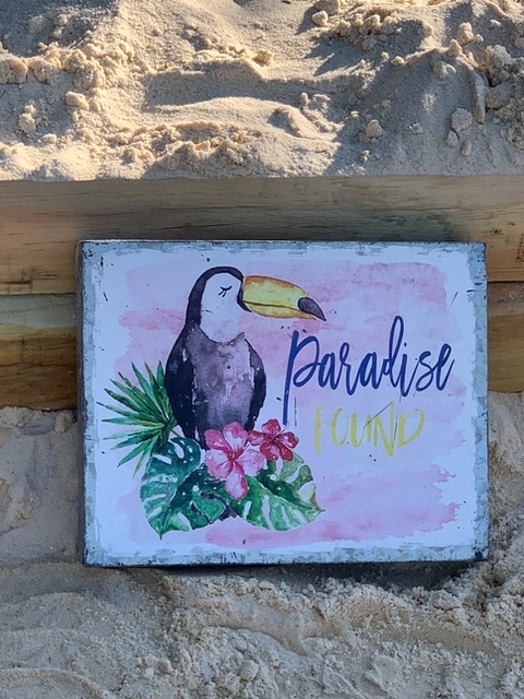 The Neighborhood Sandbox