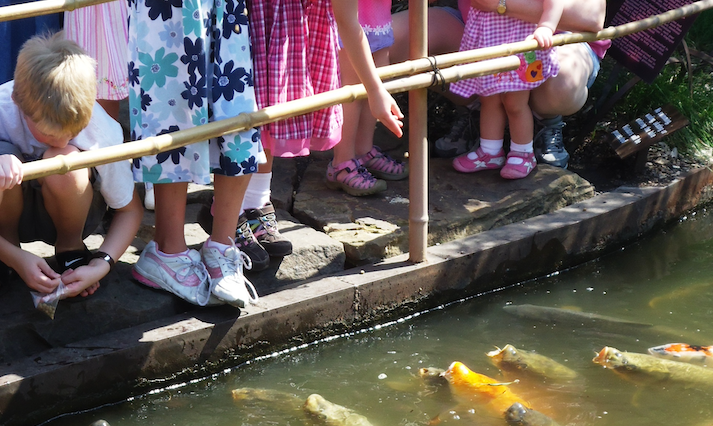 Garden Views: Children and Nature-Deficit Disorder