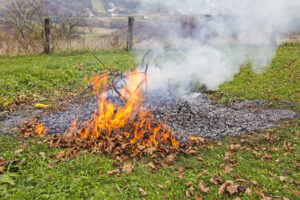 Peachtree City Bans the Burning of Yard Debris Y...