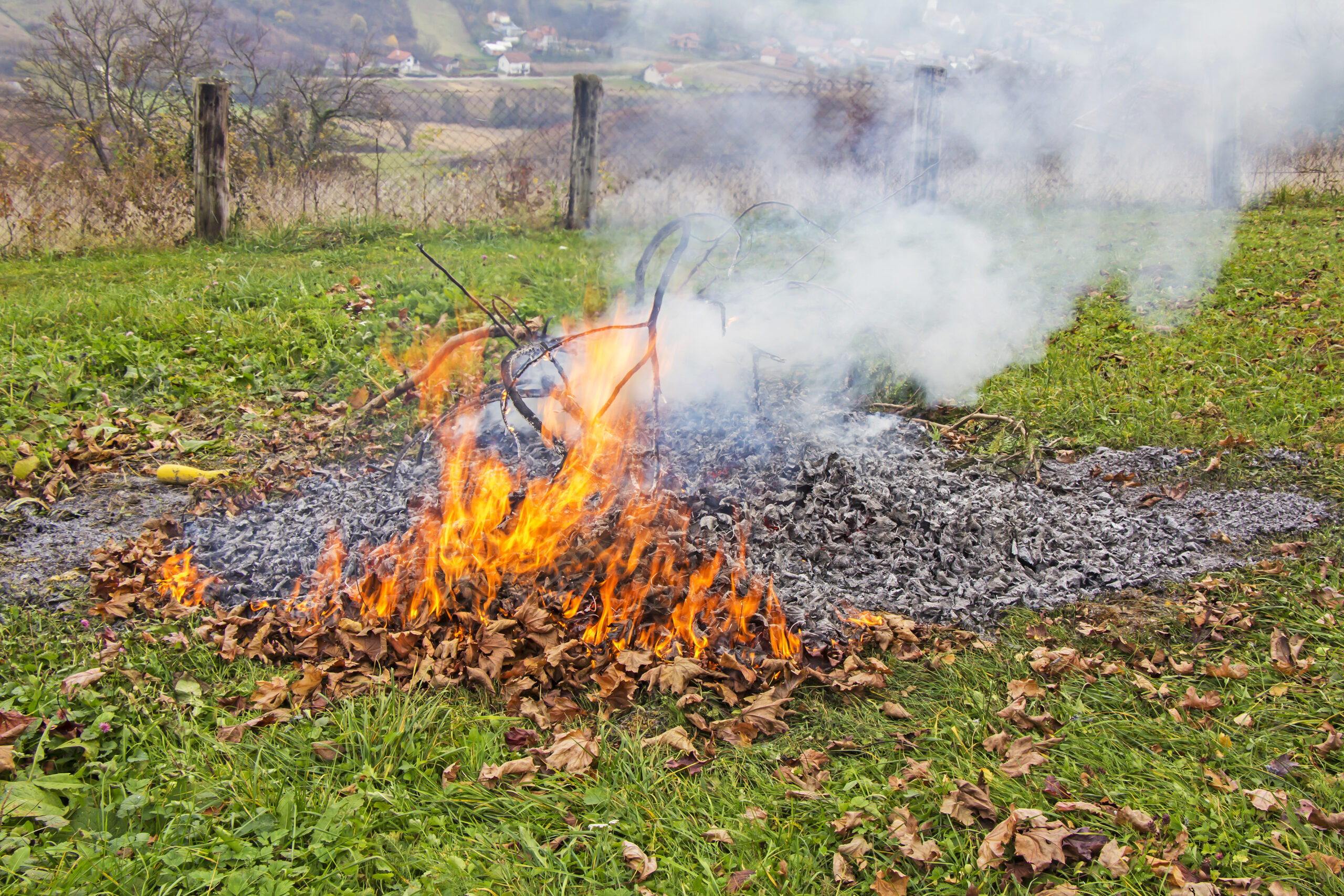 Peachtree City Bans the Burning of Yard Debris Y...