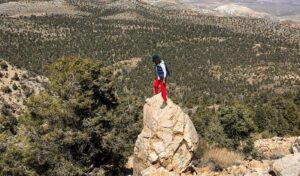 The Courage to Stay Curious