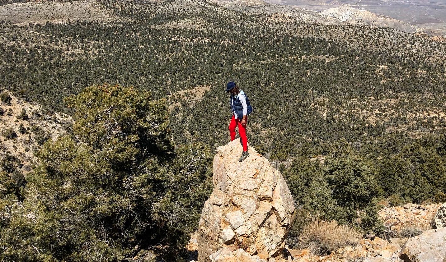 The Courage to Stay Curious