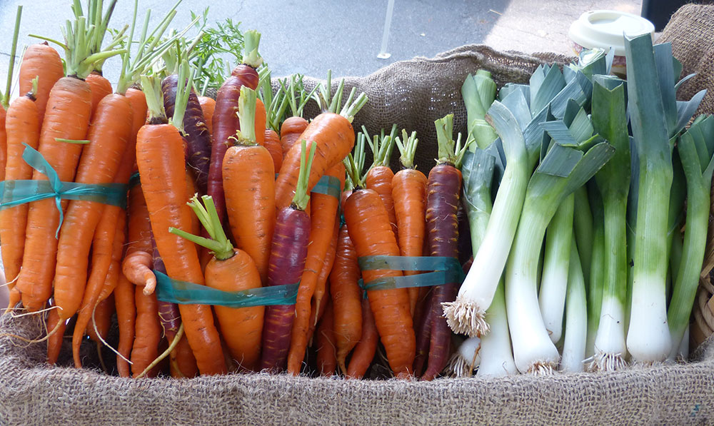 It’s Time to Plan your Fall Vegetable Garden!