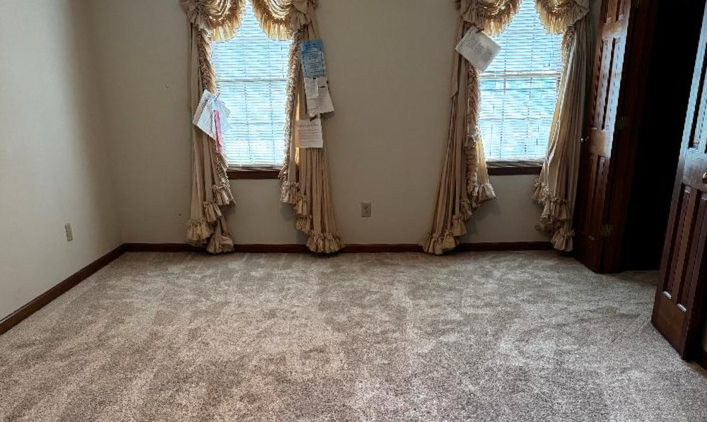 Moving vs. getting new carpet?