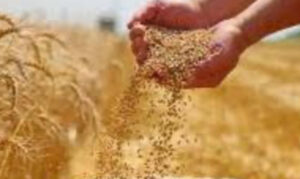 Hark, the voice of Jesus calling