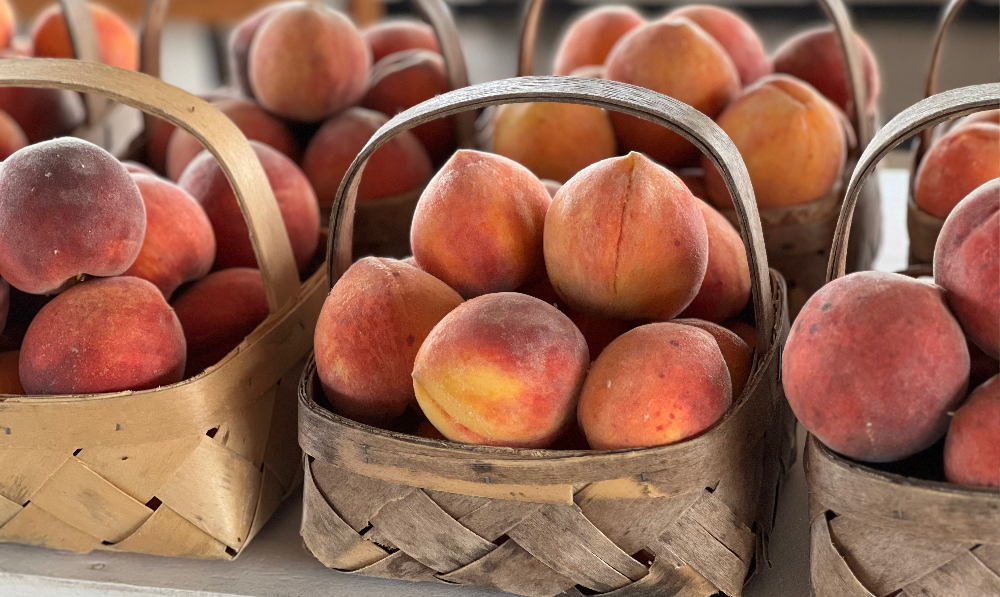 Still Time for Peaches – Short Day Trip to Gregg Farms