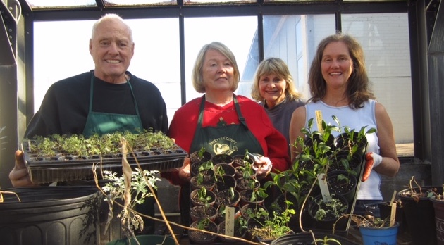 Master Gardeners work with butterflies