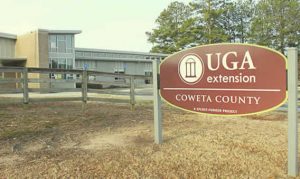 Plant sale is Oct. 8