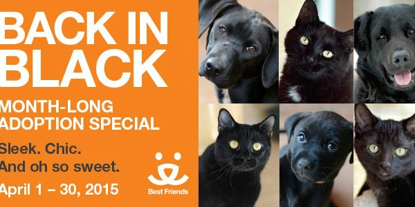 ‘Back in Black’ campaign designed to...