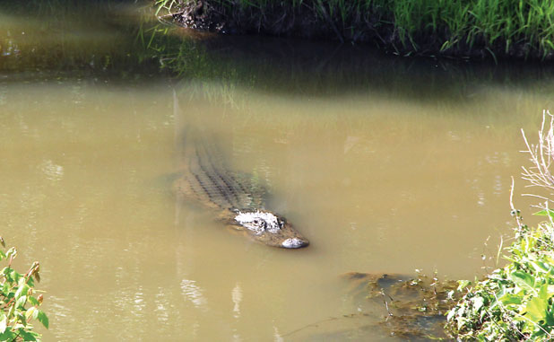State to evict Flat Creek Floyd from PTC home; a...