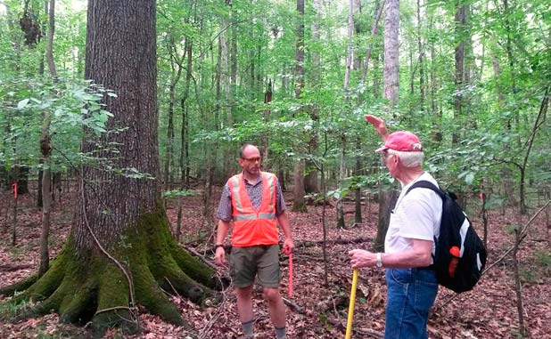 Outdoor lovers invited to work The Ridge Nature ...