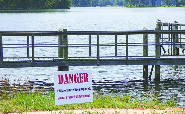 ‘Day of the ’gator’ continues in PTC: Signs are up