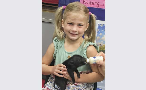 Cuteness at Crabapple