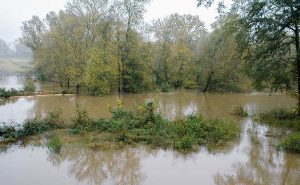 3-inch rain sends Flint River out of its banks