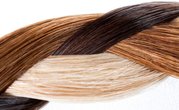 4 motorcycles, sandwich shop safe, $50K worth of...