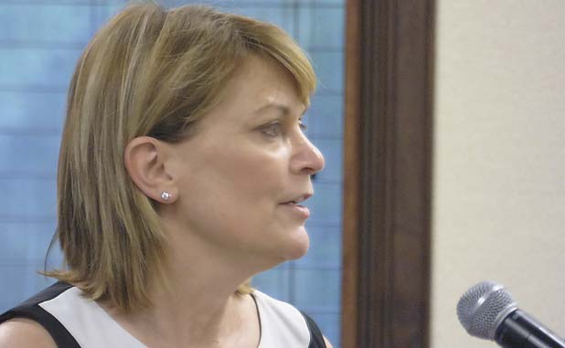 Cities briefed on ‘Fayette Branding’